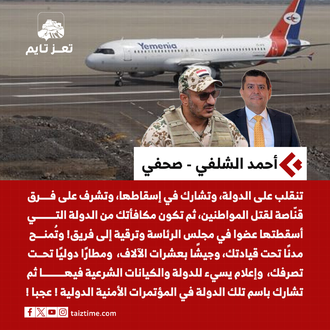أحمد الشلفي طارق صالح