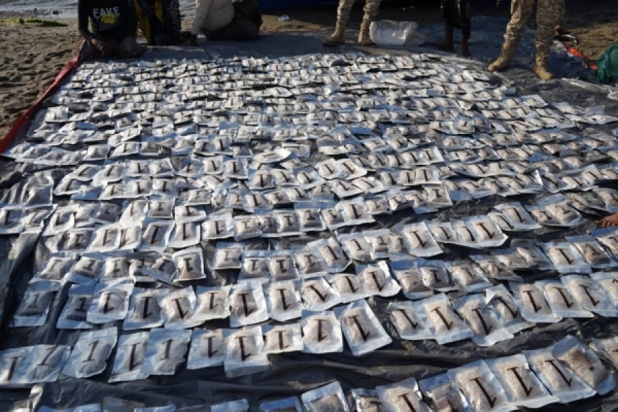 ضبط شحنة مخدرات "ضخمة" قرب مضيق باب المندب جنوب غرب تعز