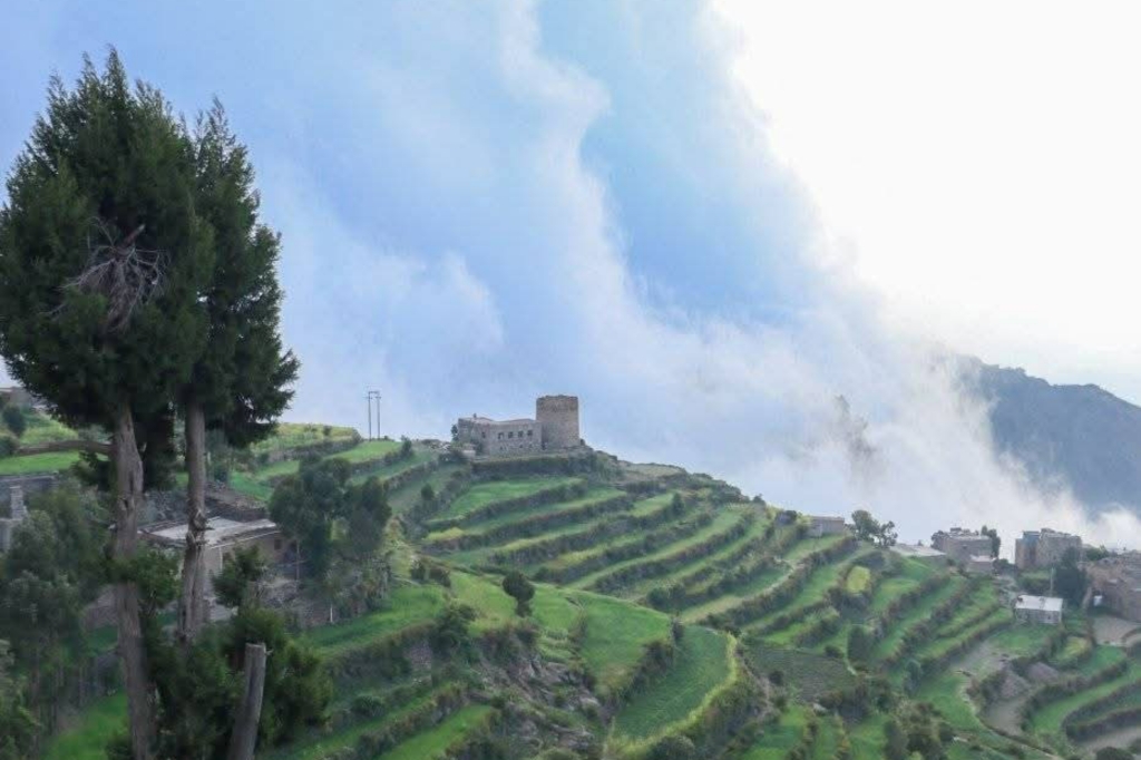 الأرصاد: موجة برد شديدة في عدد من المحافظات خلال الساعات القادمة