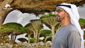 نتيجة توسع الإمارات المعماري وإدخال نباتات جديدة.. سقطرى مهددة بوضعها على قائمة التراث المعرض للخطر