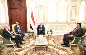 الرئيس هادي يلتقي ليندركنج في الرياض