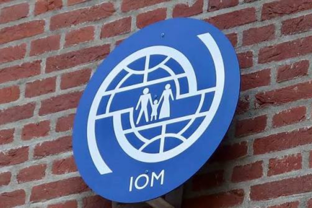 منظمة الهجرة الدولية تطالب المانحين بتوفير 100 مليون دولار لدعم النازحين والمهاجرين في اليمن عام 2026.