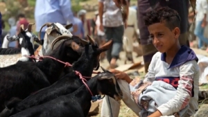 استعدادات مثقلة بالفقر والغلاء لاستقبال عيد الأضحى في اليمن