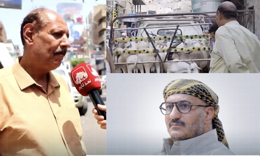 طارق صالح يرسل أضحية إلى مواطن في تعز بعد ظهوره في مقطع يسخر منه على تعز تايم
