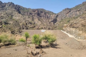 الجفاف وقلة الأمطار يخنقان الزراعة في تعز ويلحقان أضرارًا بالمحاصيل الزراعية للمواطنين