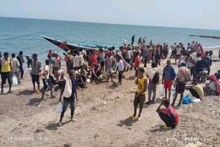 خفر السواحل في شبوة يضبط 600 مهاجر أفريقي غير شرعي
