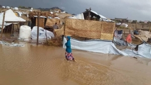 الهجرة الدولية:  الأمطار والرياح تسببت بأضرار جسيمة في الأراضي الزراعية ومواقع النزوح في مأرب