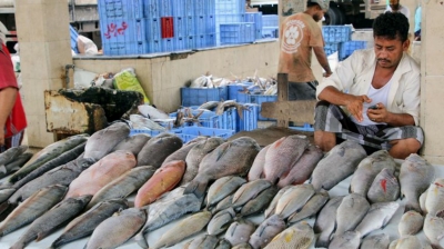 الحكومة اليمنية توقف تصدير الأسماك بسبب شح المعروض