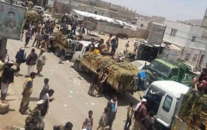 متحصل جبايات حوثي يقتل ويصيب 4 مواطنين في سوق قات بالبيضاء