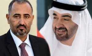الإمارات تبدأ حربها ضد المجلس الرئاسي بأدواتها الخاصة