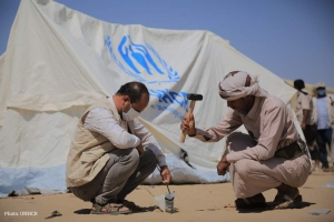 الأمم المتحدة: زيادة مقلقة للهجمات على عمال الإغاثة الإنسانية في اليمن