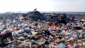 تكدس أكوام القمامة يهدد بتفشي الحميات والقضاء على التنوع البيولوجي في سقطرى