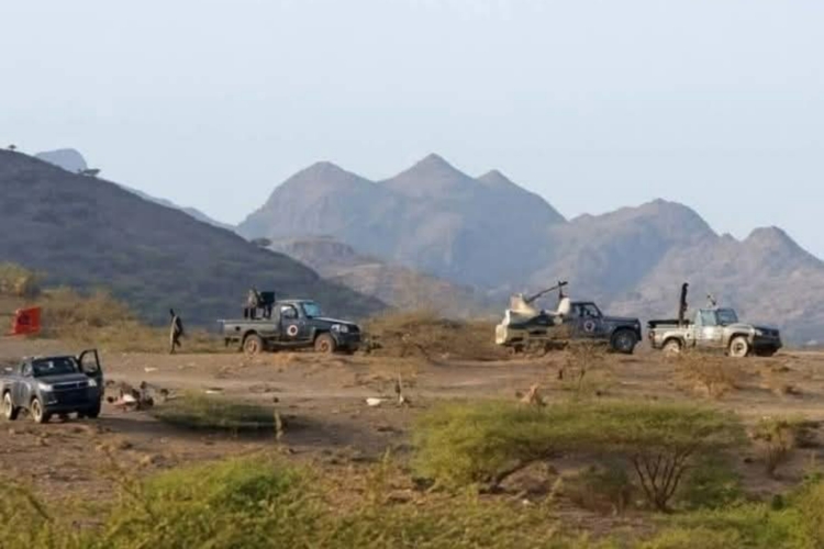 رغم إعلان الانسحاب مسبقا… اتهامات قبلية بإعادة انتشار قوات طارق صالح في مديرية الوازعية غربي تعز