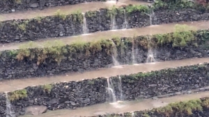 الأرصاد: أمطار رعدية متوقعة على عدة محافظات وتحذيرات من السيول