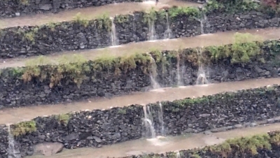 الأرصاد: أمطار رعدية متوقعة على عدة محافظات وتحذيرات من السيول