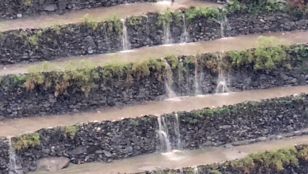 الأرصاد: أمطار رعدية متوقعة على عدة محافظات وتحذيرات من السيول