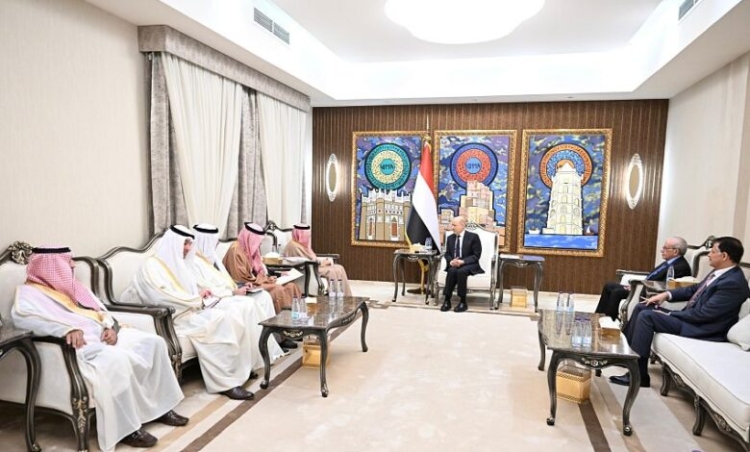 تأكيد خليجي على وحدة اليمن.. العليمي يلتقي البديوي ويناقش معه مستجدات الأوضاع في البلاد