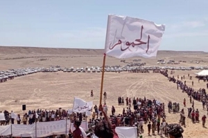 قبائل الحمـوم في حضرموت تعلن دعمهـا للشيخ عمـرو بن حبريش وتتبرأ من مواقف البحسني في بيان يؤكد رفض التدخلات ومحاولات شق الصف