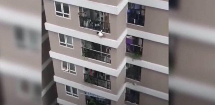 بالفيديو: عامل توصيل يلتقط طفلة أثناء سقوطها من الطابق الـ12