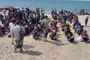 ضبط 150 مهاجرًا جديدًا.. الأفارقة يتدفقون بشدة إلى شبوة