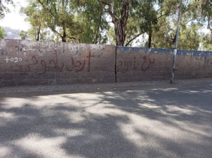 شعارات &quot;ارحل ياحوثي&quot; تظهر في شوارع إب