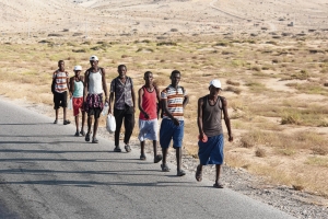 مئات المهاجرين الأفارقة يصلون إلى شبوة وتقارير دولية تكشف قفزة بنسبة 99% في أعداد الوافدين إلى اليمن منذ سبتمبر الماضي