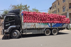 نقاط تفتيش للمليشيا تمنع شاحنات "البصل" من عبور المنفذ الشرقي في تعز دون مبررات