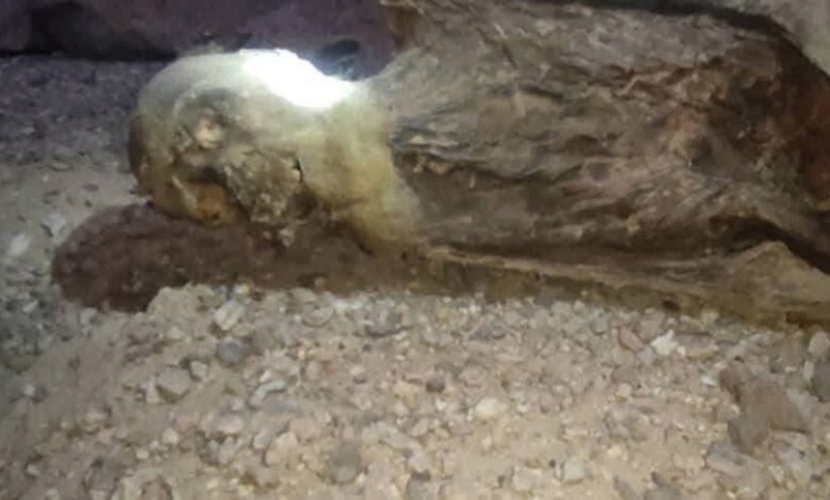 العثور على مومياء في موقع أثري بالجوف يفضح العبث بالإرث التاريخي والحضاري لليمن