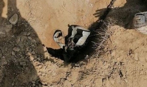 مقتل 3 أطفال أشقاء بانفجار مقذوف حوثي في مأرب