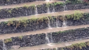 توقعات بأمطار رعدية وتحذيرات من السيول واضطراب البحر في عدد من المحافظات