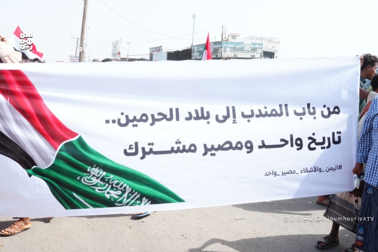 الجهود السياسية تنقذ طارق صالح من ورطة كان سيضع نفسه فيها