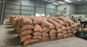 رئيس حكومة اليمن: الحرب الروسية لن تؤثر على مخزوننا من القمح
