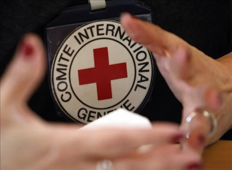 مصدر عسكري ينفي وجود لجنة تابعة للصليب الأحمر في تعز لمتابعة أسرى كتاف