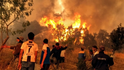 بعدما قتلت 38 شخصاً.. السيطرة الكاملة على حرائق الغابات في الجزائر