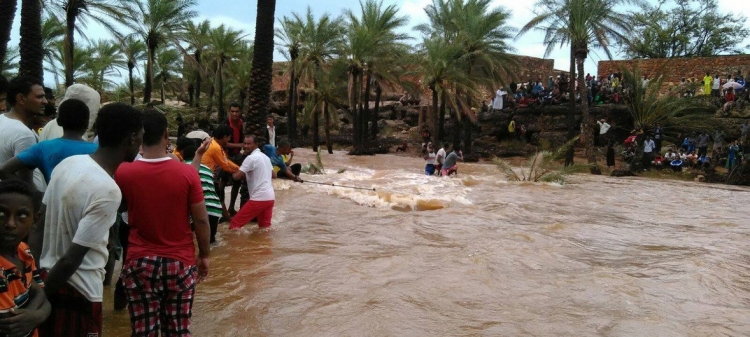 الصحة العالمية: وفاة 77 شخصا وتضرر الآلاف بسبب الفيضانات في اليمن
