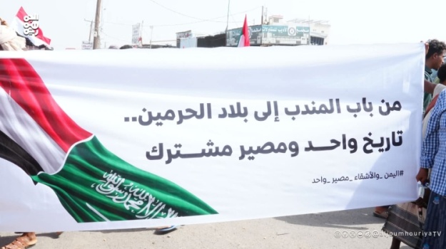 الجهود السياسية تنقذ طارق صالح من ورطة كان سيضع نفسه فيها