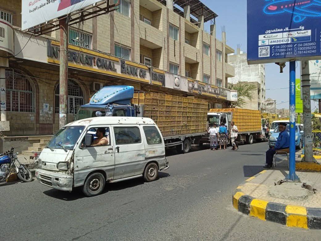سائقو شاحنات الدواجن في تعز يحتجون على الرسوم الباهظة والجبايات غير القانونية