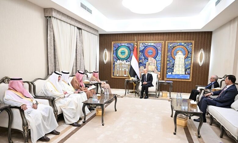 تأكيد خليجي على وحدة اليمن.. العليمي يلتقي البديوي ويناقش معه مستجدات الأوضاع في البلاد