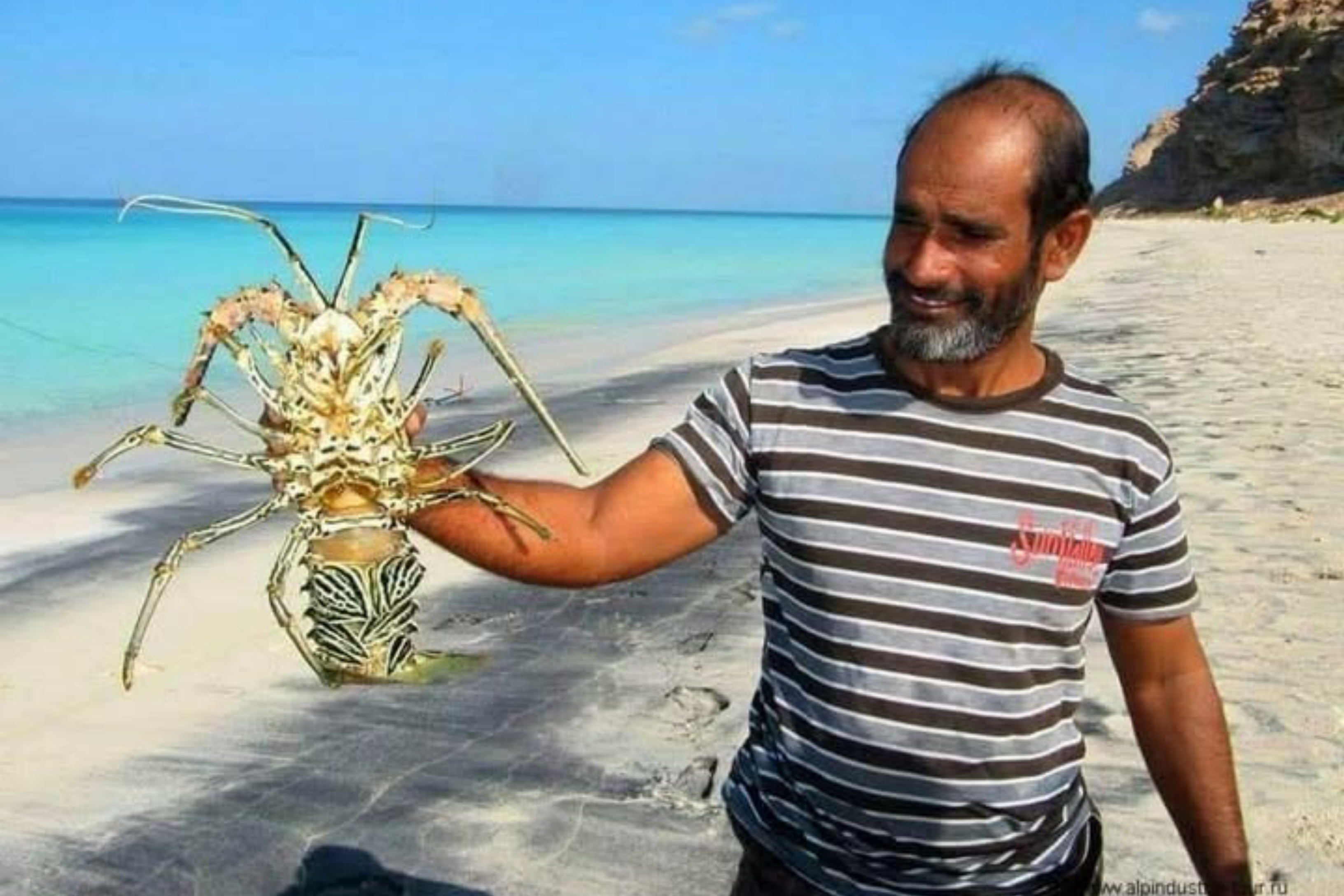 قرار وزاري بإغلاق موسم اصطياد الشروخ الصخري في سواحل حضرموت والمهرة