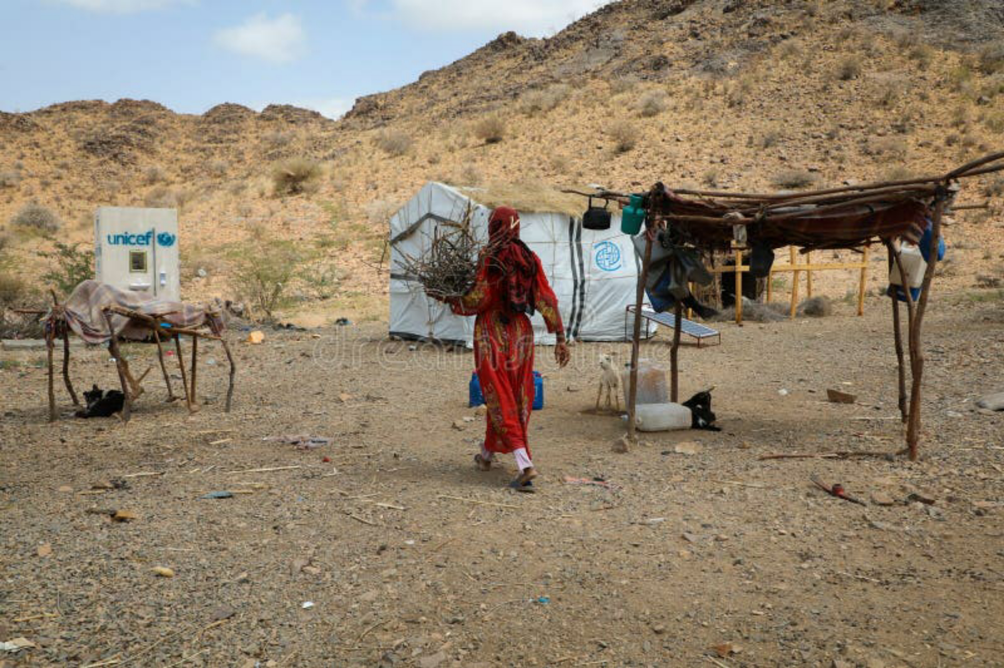 مسؤول أممي يحذر من تهديد يطال حياة أكثر من 60 ألف لاجئ في اليمن