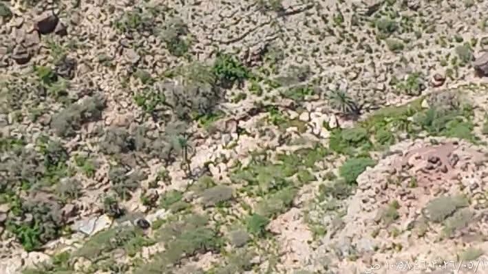وفاة 3 فتيات غرقاً خلال رحلة تنزه بوادي العور جنوبي تعز