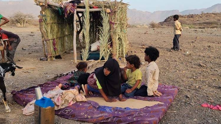 نساء وأطفال في العراء وغياب تام للمنظمات عن معاناة النازحين غرب تعز