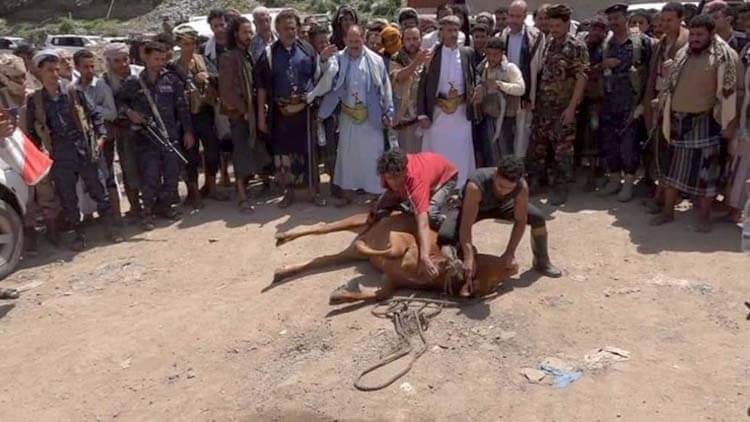 استئناف العمل بمصانع الشيباني في تعز بعد صلح قبلي مع المعتدين