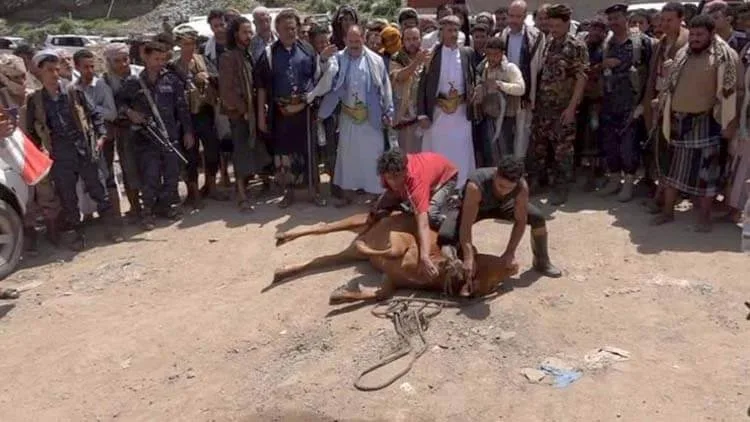 استئناف العمل بمصانع الشيباني في تعز بعد صلح قبلي مع المعتدين