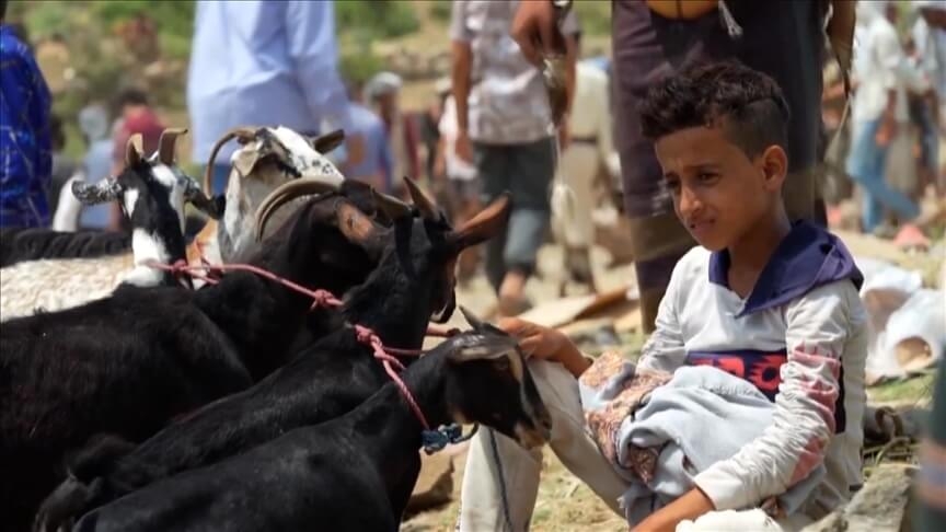 ارتفاع أسعار الأضاحي باليمن يفسد فرحة العيد