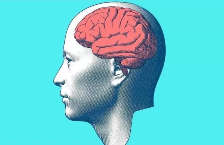 كيف تصبح أكثر عقلانية في العام الجديد؟