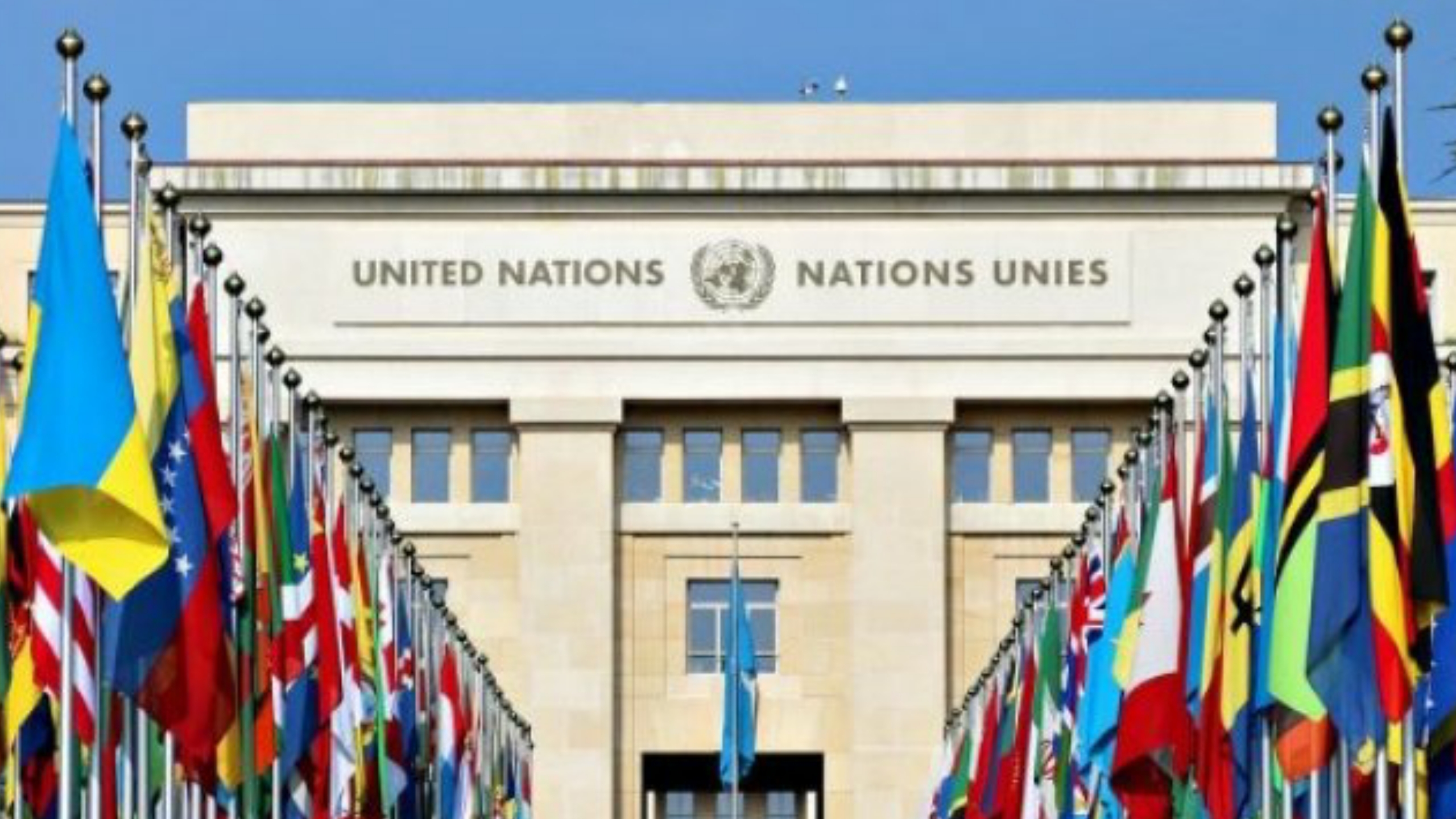 الأمم المتحدة: عدد سكان العالم يتخطى حاجز 8 مليارات