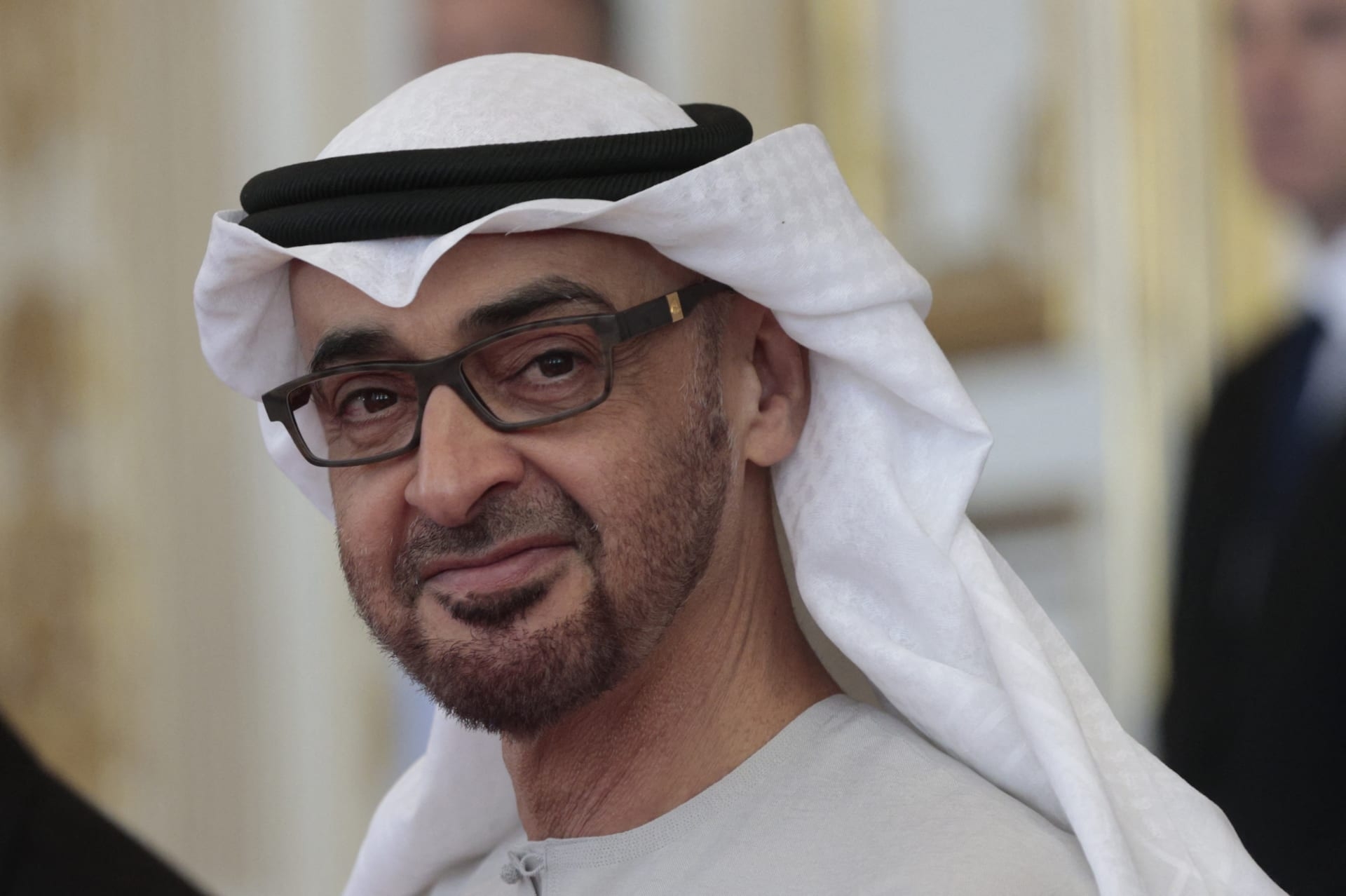 القضاء الفرنسي يغلق دعوى ضد رئيس الإمارات على خلفية جرائم ارتكبها بحرب اليمن
