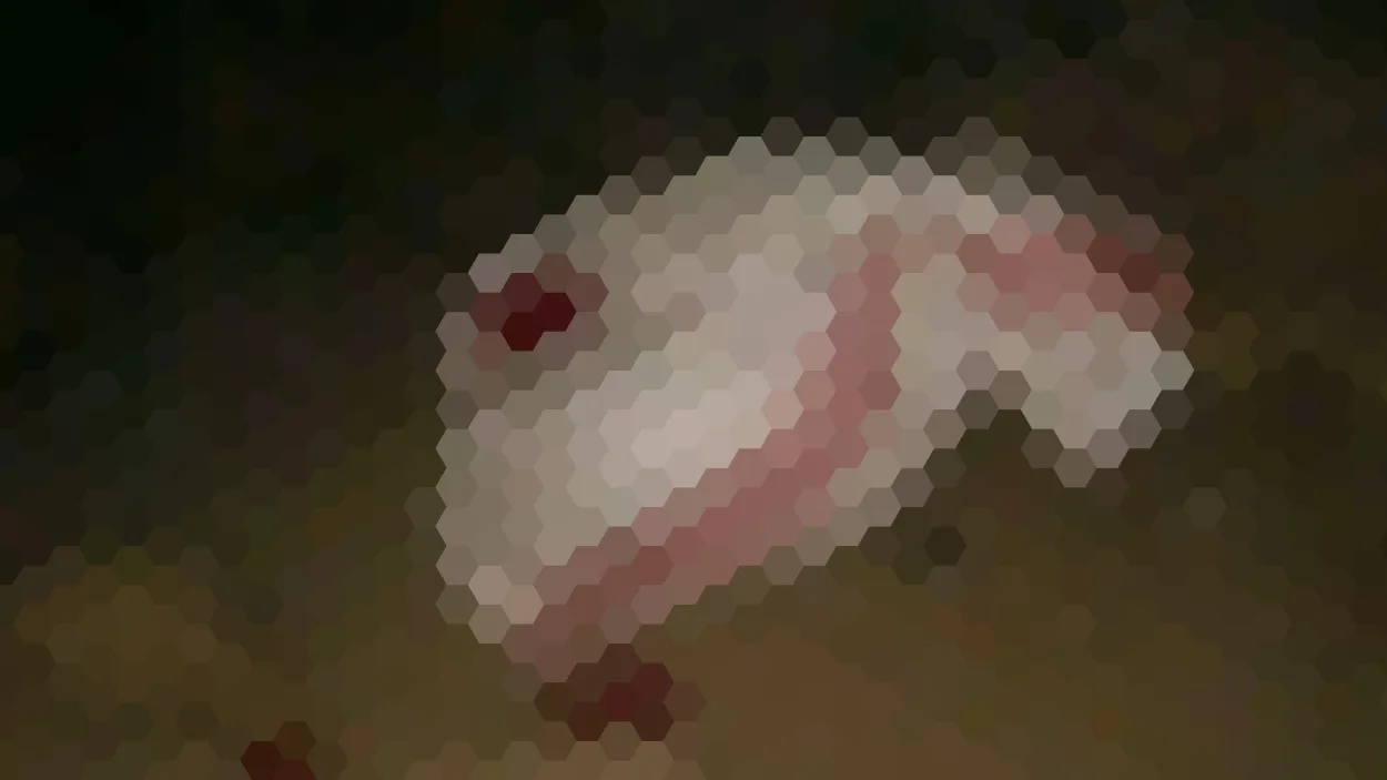 العثور على جثة امرأة مقطعة داخل كيس بمدينة إب