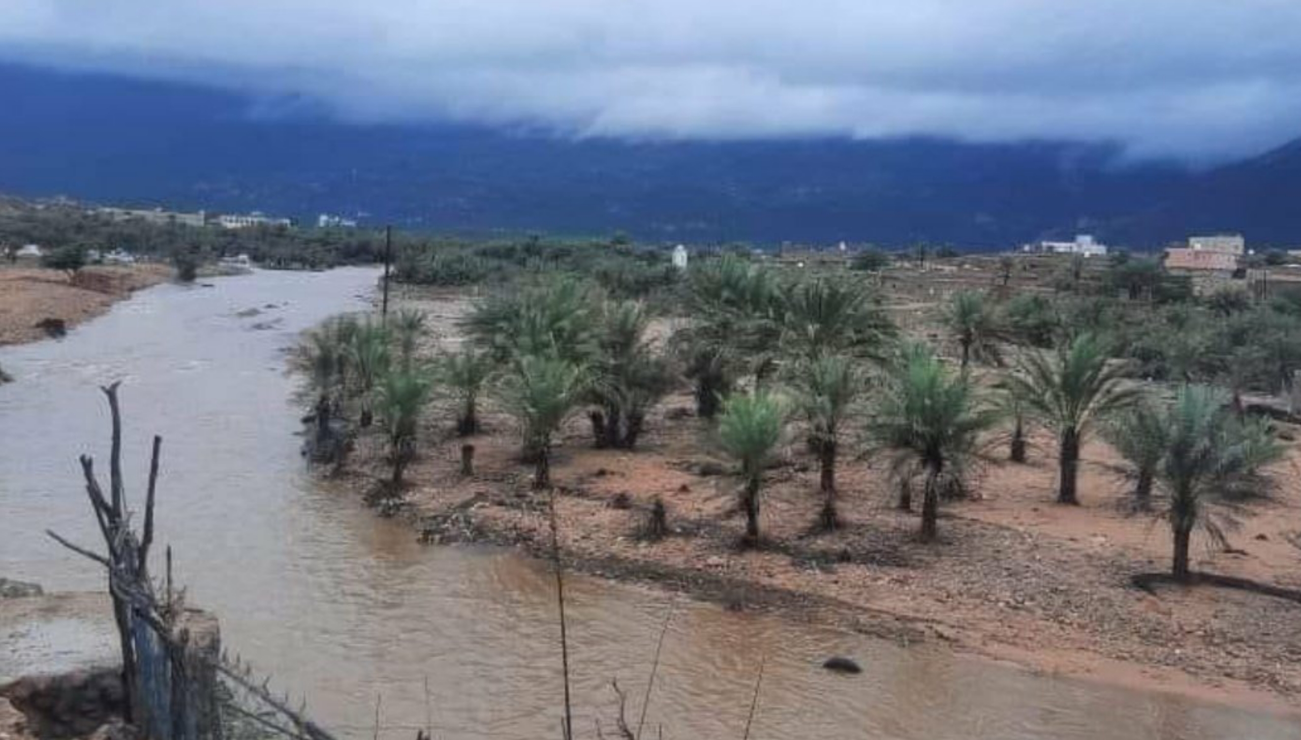سقطرى..أمطار غزيرة تتسبب بقطع الطرقات